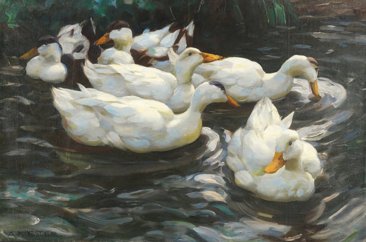 Ducks In Water | Alexander Koester | Ave Legato Art Prints