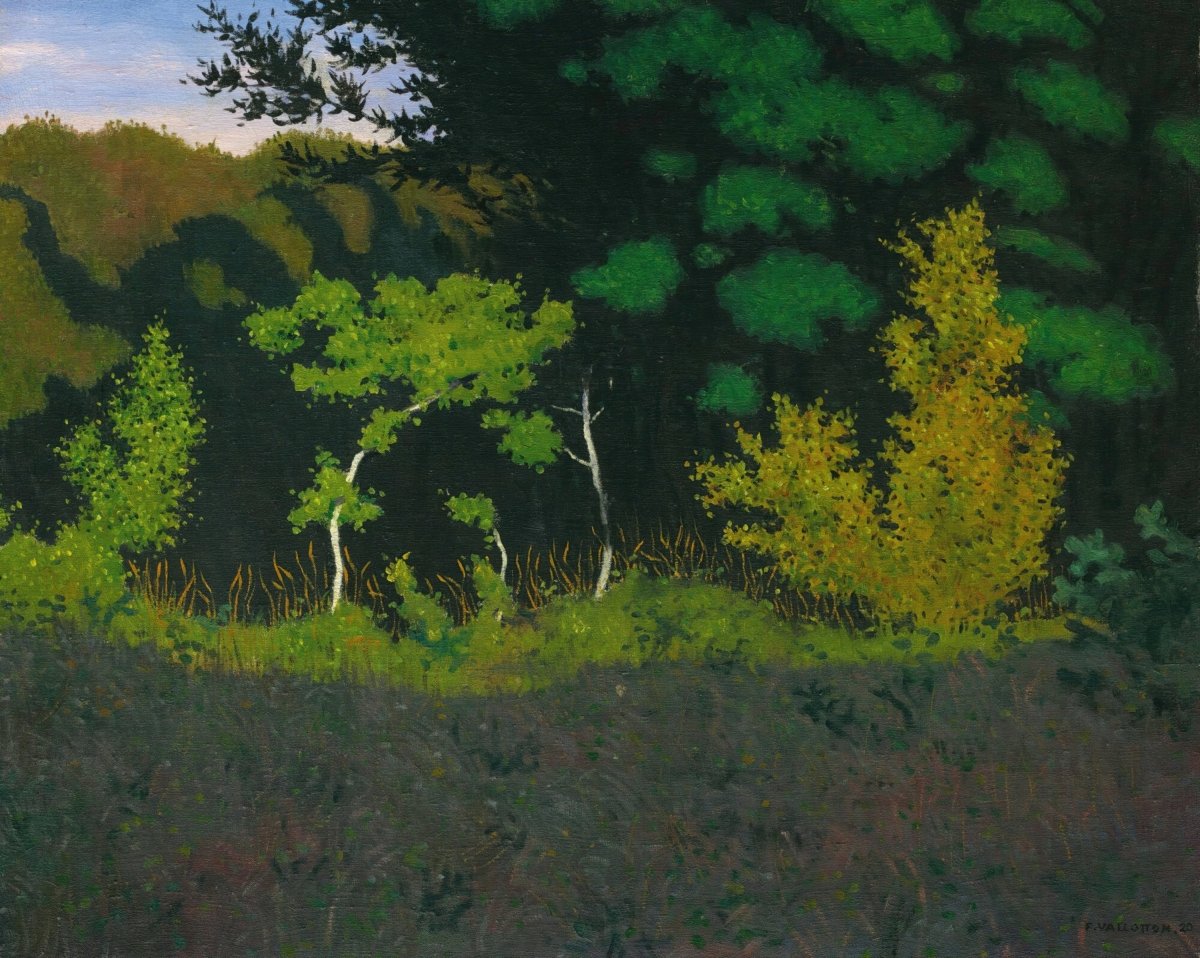 Edge of the Woods | Felix Vallotton | Ave Legato Art Prints