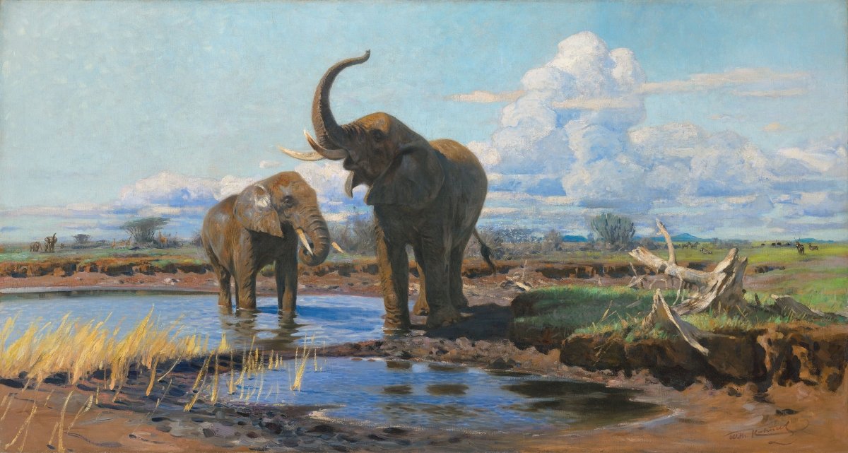 Elephants at a Waterhole | Wilhelm Kuhnert | Ave Legato Art Prints