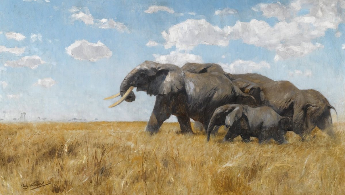 Elephants on the Move | Wilhelm Kuhnert | Ave Legato Art Prints