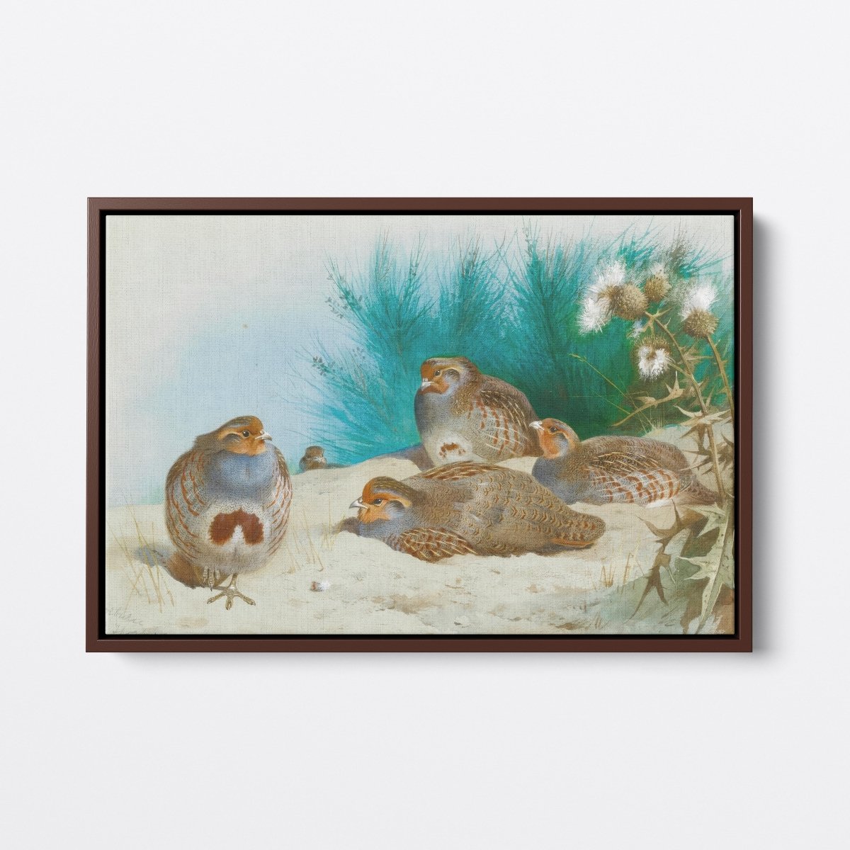 English Partridge With Gorse And Thistles | Archibald Thorburn | Ave Legato Art Prints