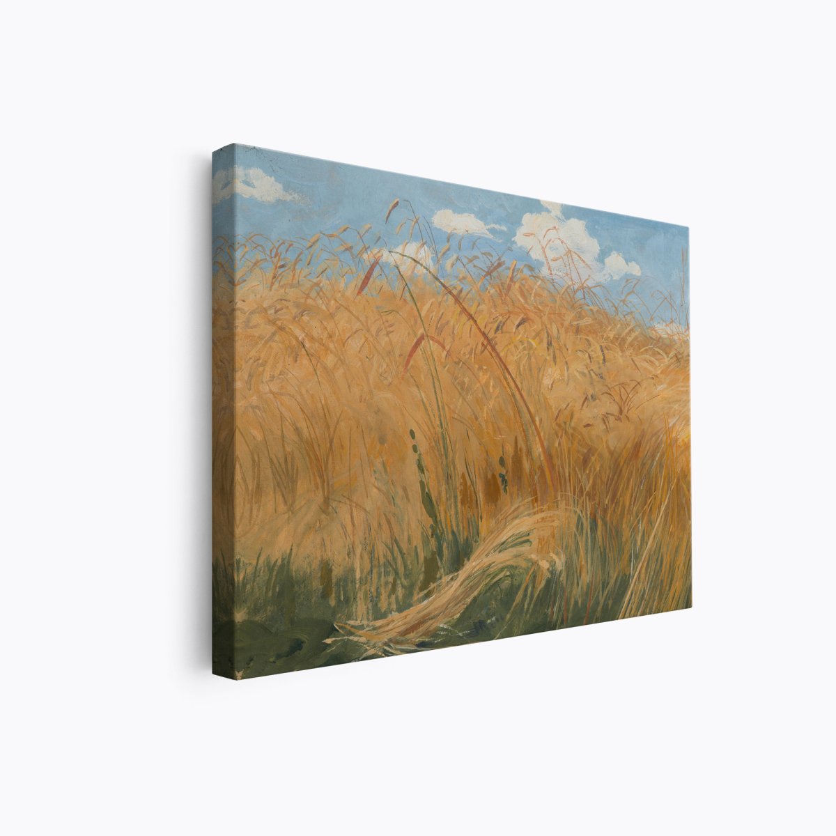 Field Studies | Wlodzimierz Tejmajer | Ave Legato | Canvas Art Prints | Vintage Artwork