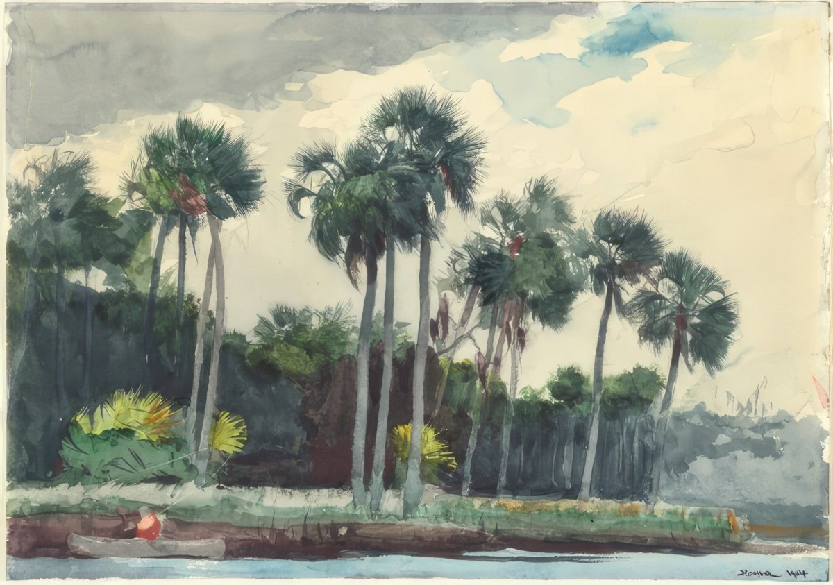 Floridian Tropics | Winslow Homer | Ave Legato Art Prints