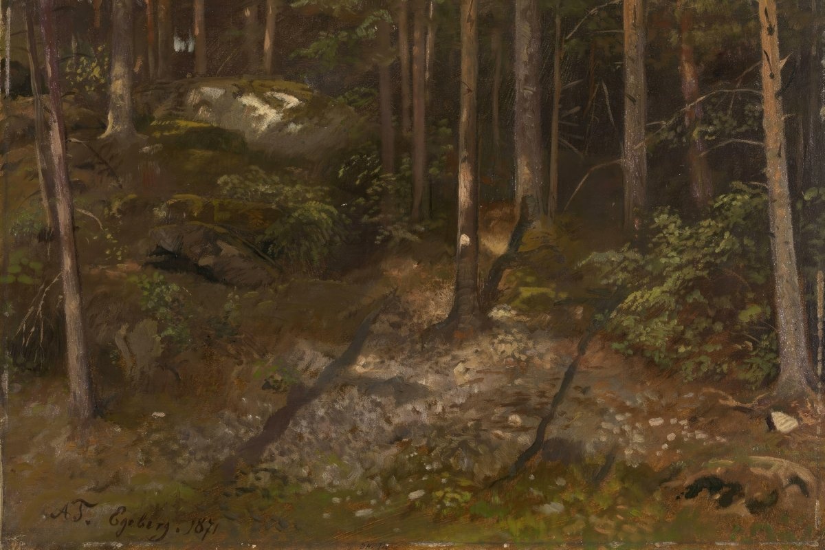 Forest Study | Adolph Tidemand | Ave Legato Art Prints