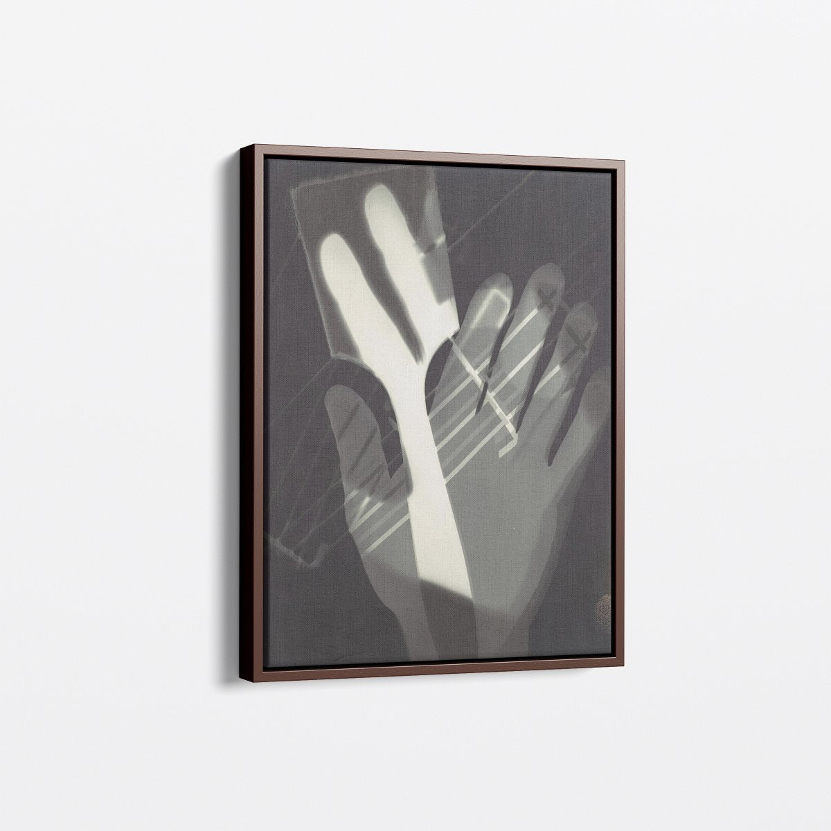 Fotogramm II | László Moholy - Nagy | Ave Legato Art Prints