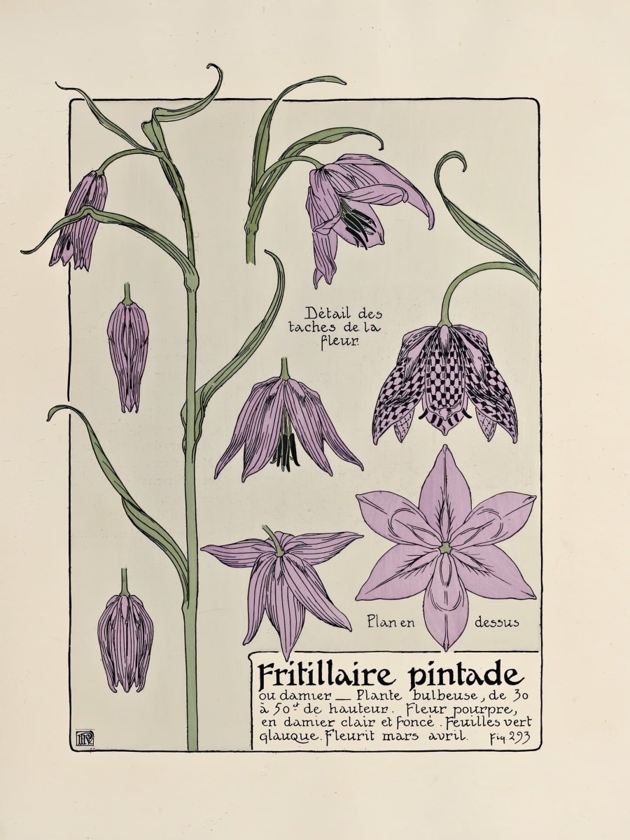 Fritillaire Pintade | Maurice Verneuil | Ave Legato Art Prints