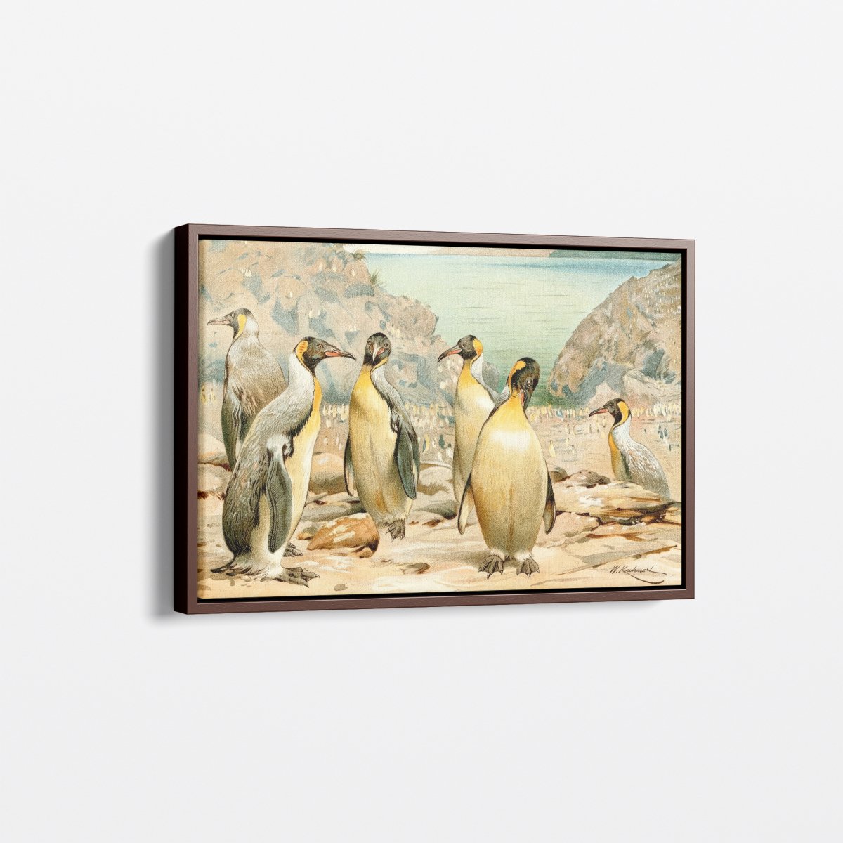 Giant Penguins | Wilhelm Kuhnert | Ave Legato Art Prints