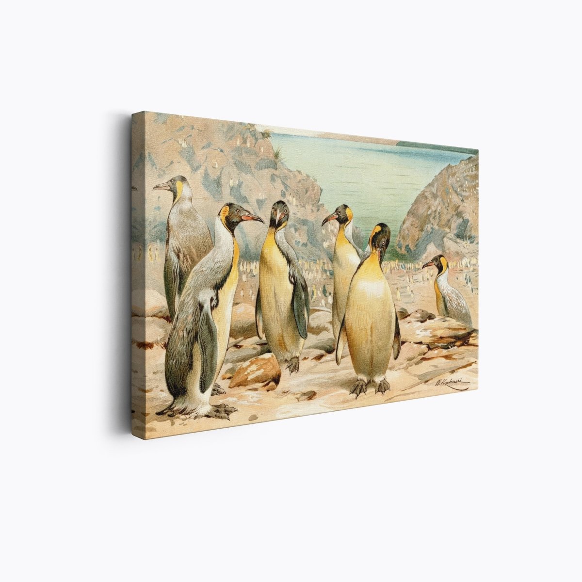 Giant Penguins | Wilhelm Kuhnert | Ave Legato Art Prints