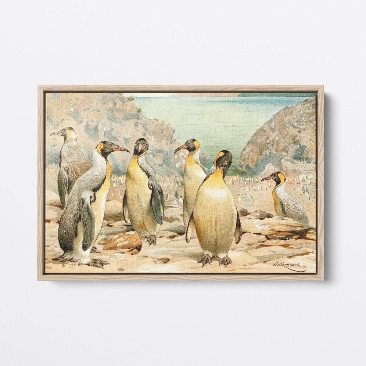 Giant Penguins | Wilhelm Kuhnert | Ave Legato Art Prints