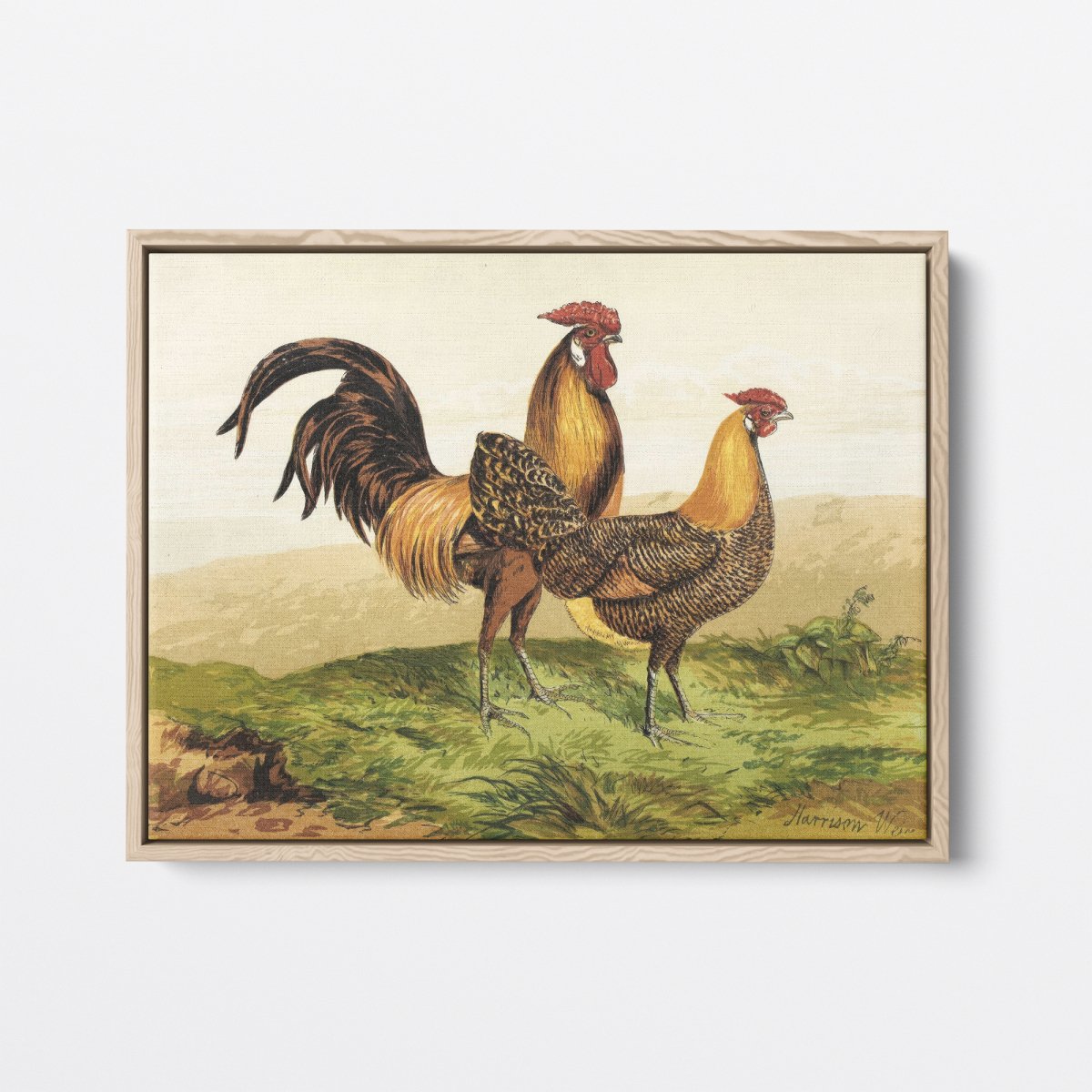 Golden Pencilled Hamburghs | Harrison Weir | Ave Legato Art Prints