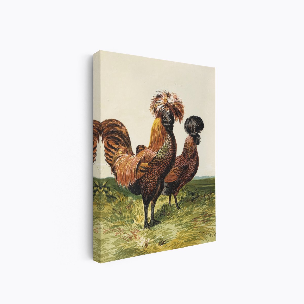 Golden Spangled Polish Chicken | Harrison Weir | Ave Legato Art Prints