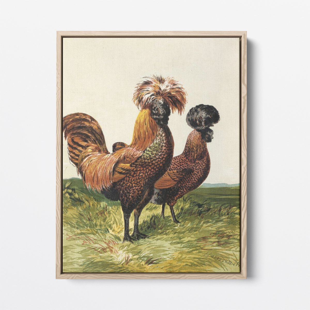 Golden Spangled Polish Chicken | Harrison Weir | Ave Legato Art Prints