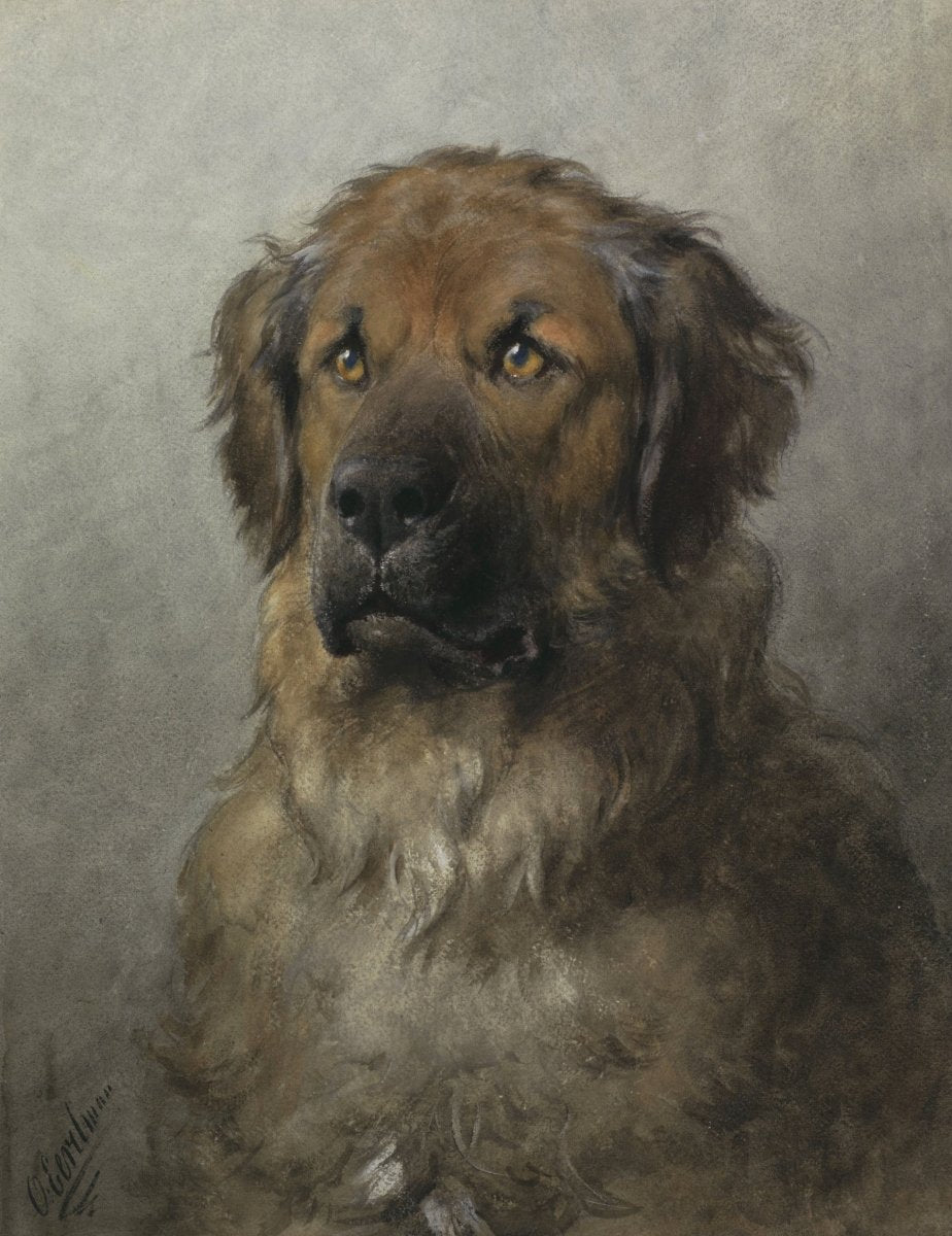 Good Boy, Max the Leonberger | Otto Eerelman | Ave Legato Art Prints