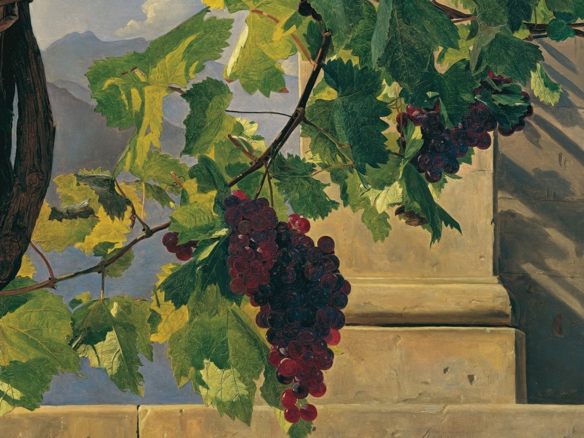 Grapes Hanging | Ferdinand Waldmuller | Ave Legato Art Prints