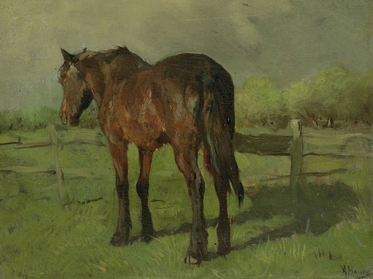 Horse | Anton Mauve | Ave Legato Art Prints