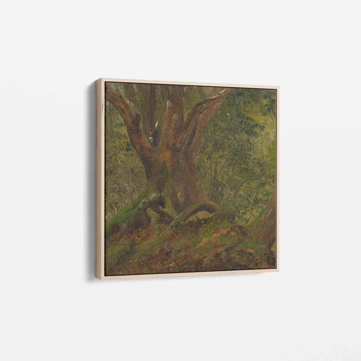 In the Woods, Jamaica | Frederic Church | Ave Legato Art Prints