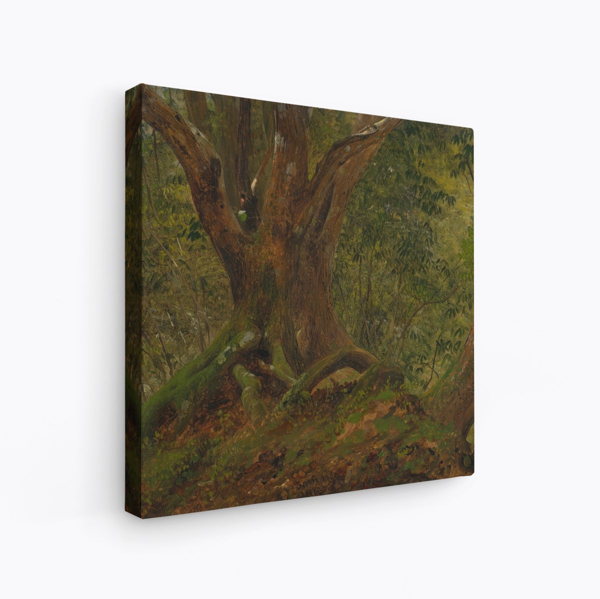 In the Woods, Jamaica | Frederic Church | Ave Legato Art Prints