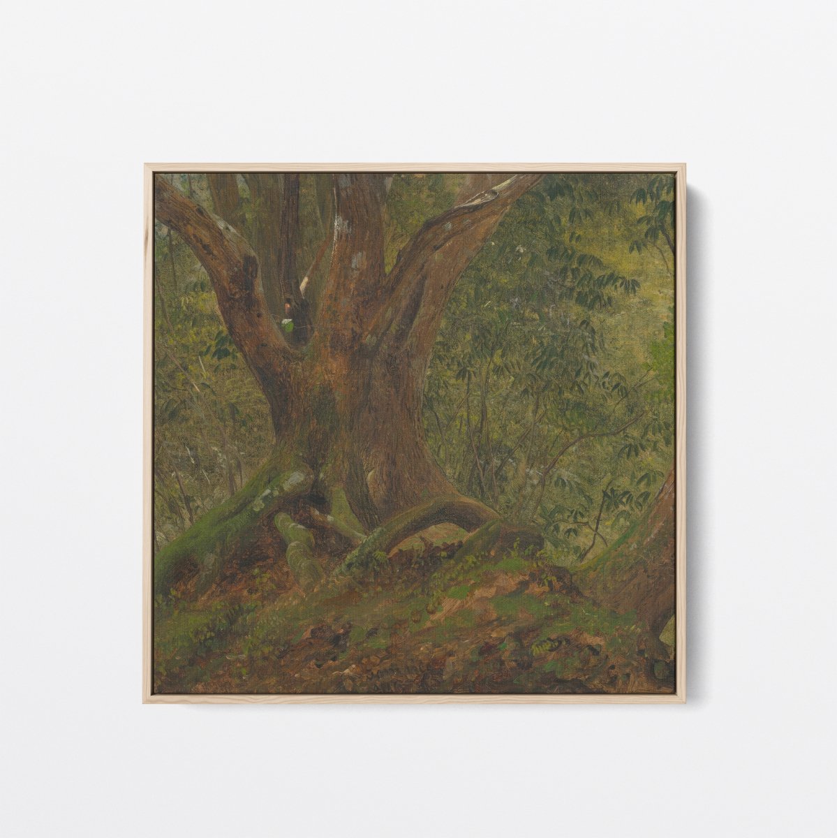 In the Woods, Jamaica | Frederic Church | Ave Legato Art Prints