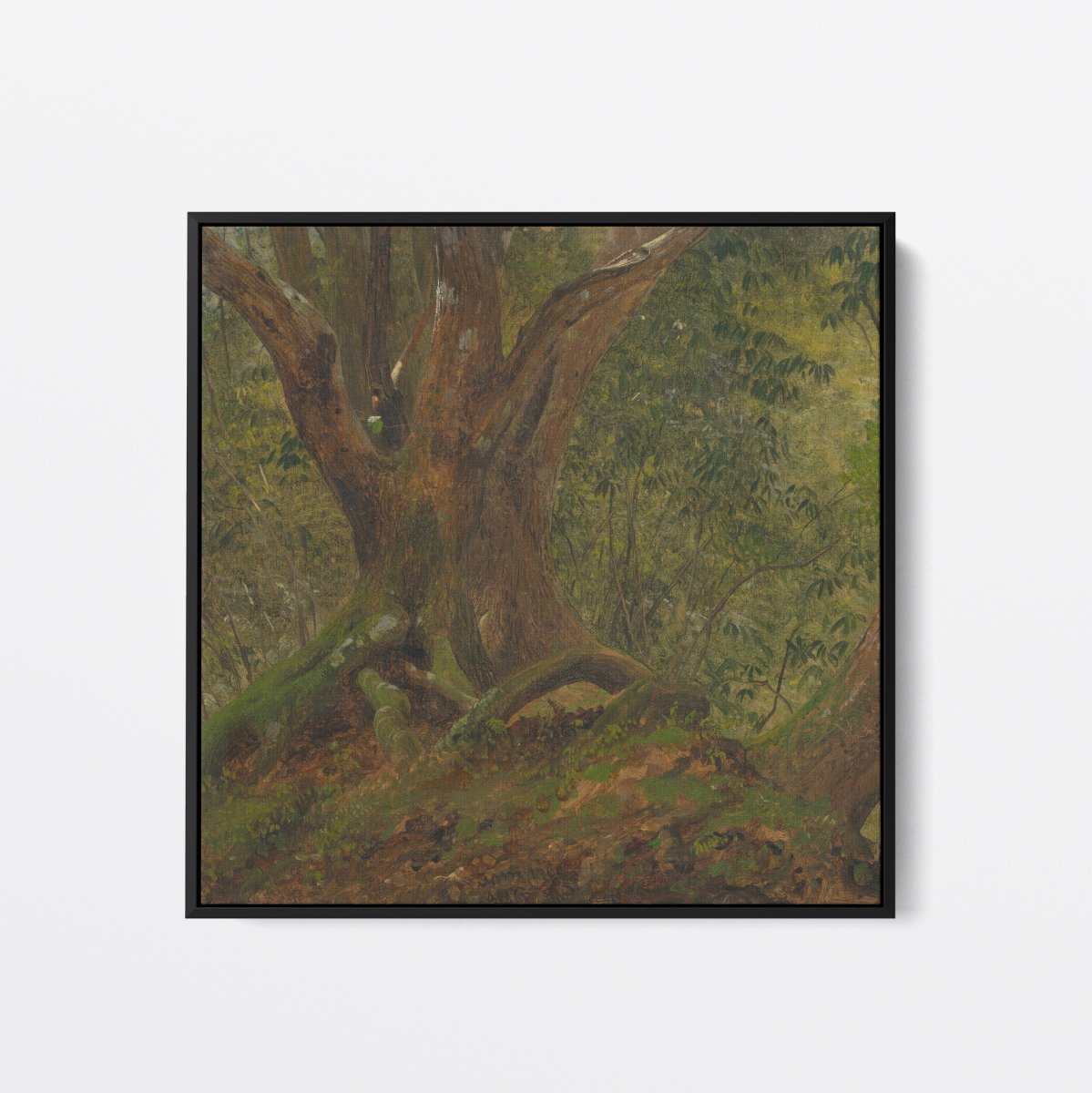 In the Woods, Jamaica | Frederic Church | Ave Legato Art Prints