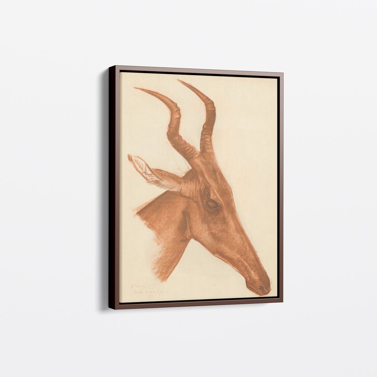 Jackson Antelope | Alexandre Jacovleff | Ave Legato Art Prints