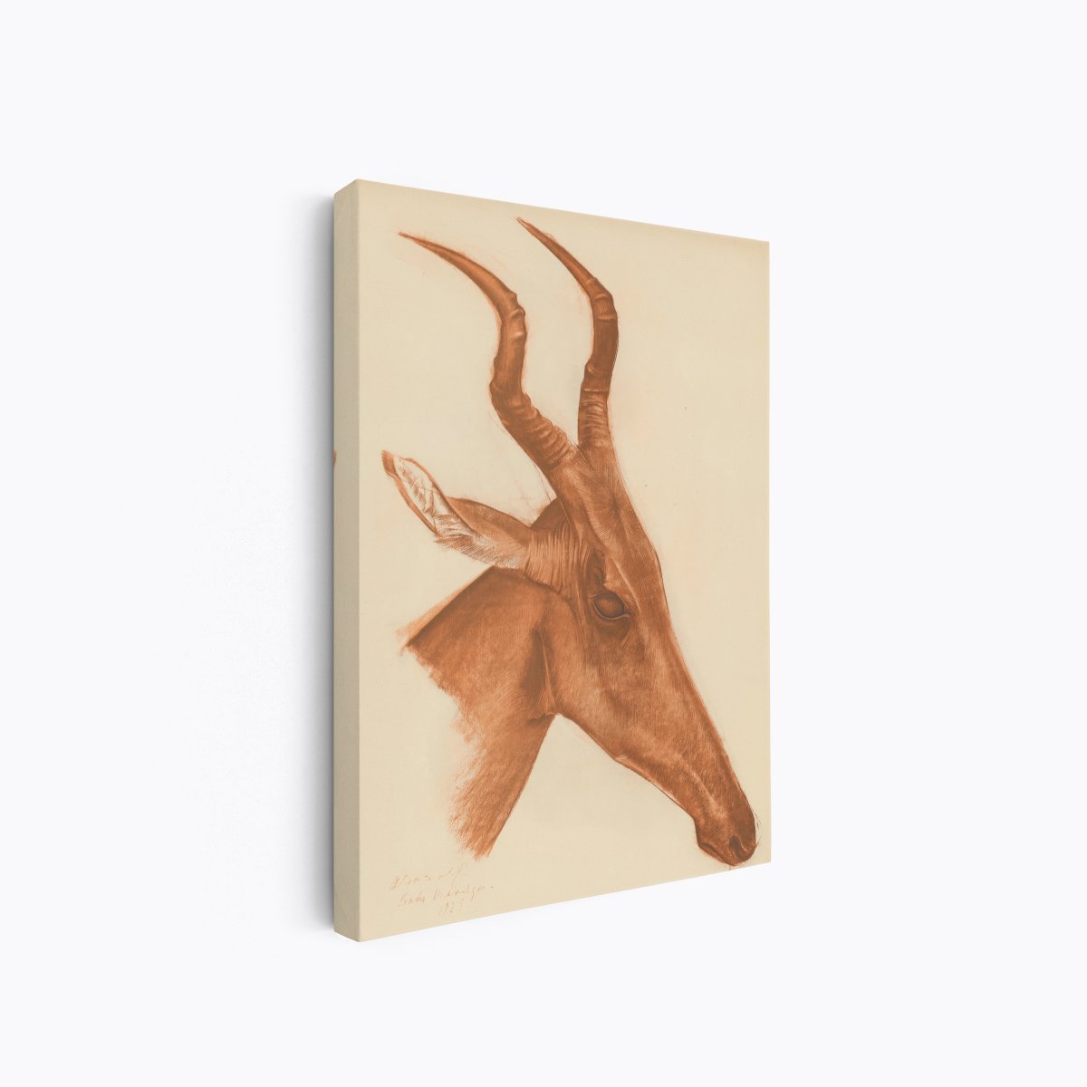 Jackson Antelope | Alexandre Jacovleff | Ave Legato Art Prints