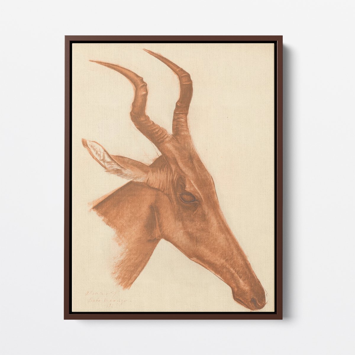 Jackson Antelope | Alexandre Jacovleff | Ave Legato Art Prints