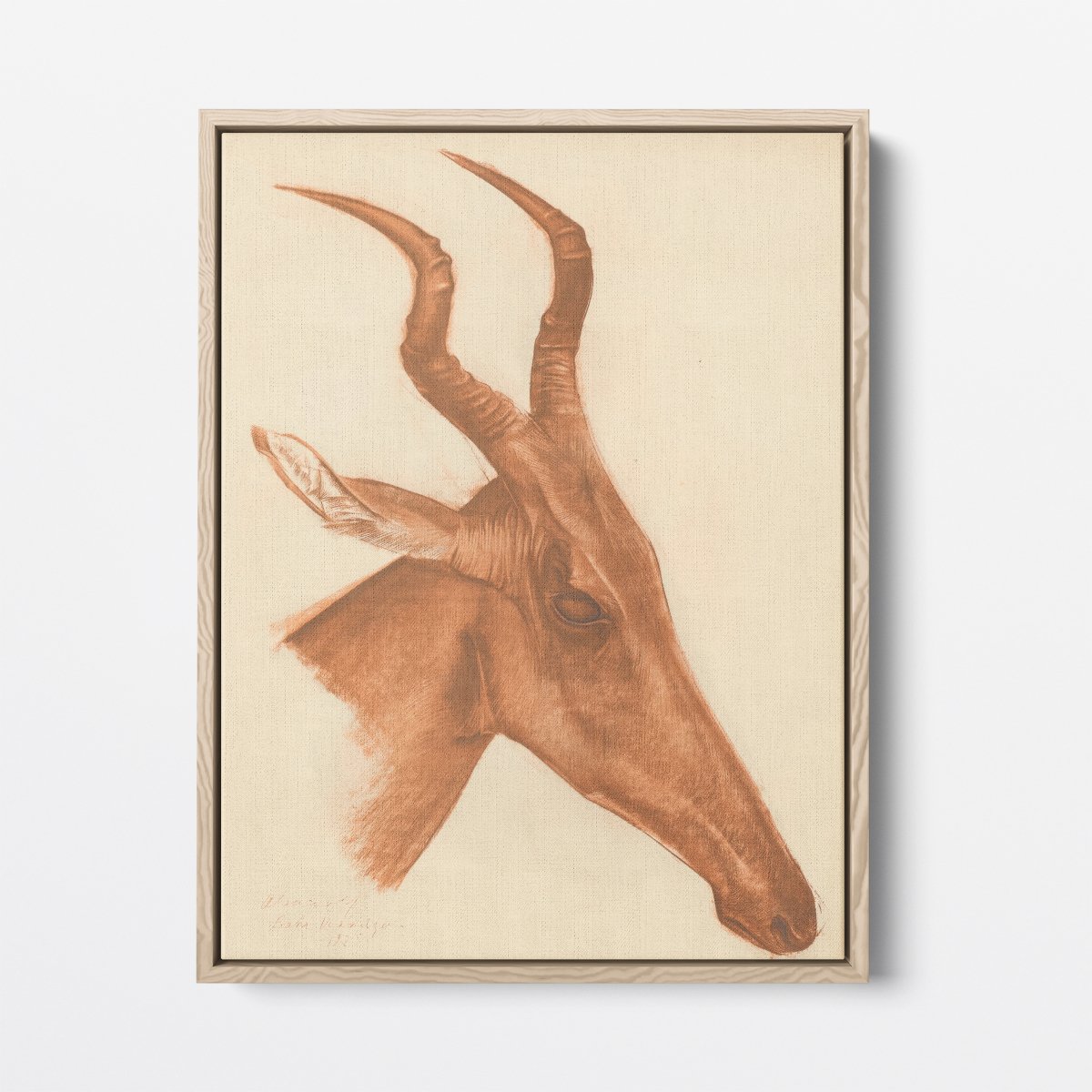 Jackson Antelope | Alexandre Jacovleff | Ave Legato Art Prints