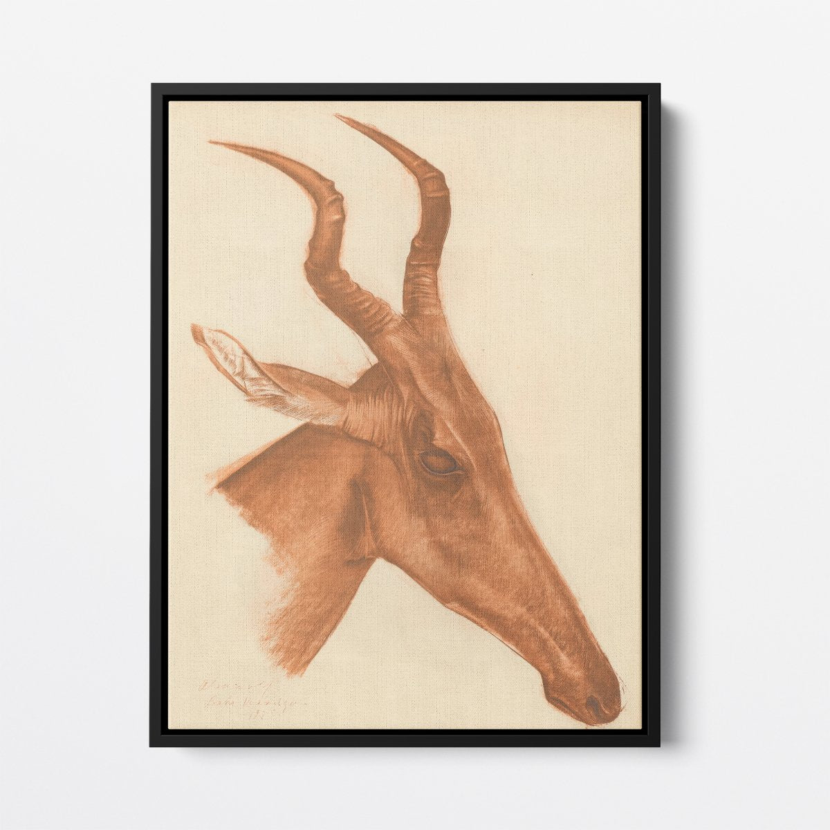 Jackson Antelope | Alexandre Jacovleff | Ave Legato Art Prints