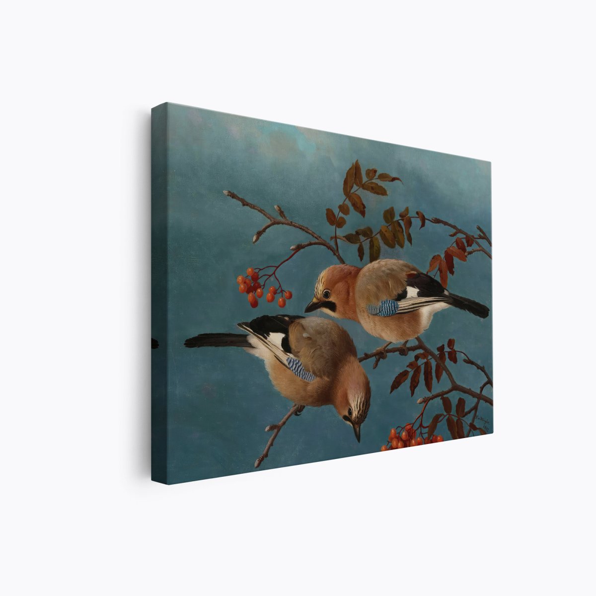 Jays | Ferdinand von Wright | Ave Legato Art Prints