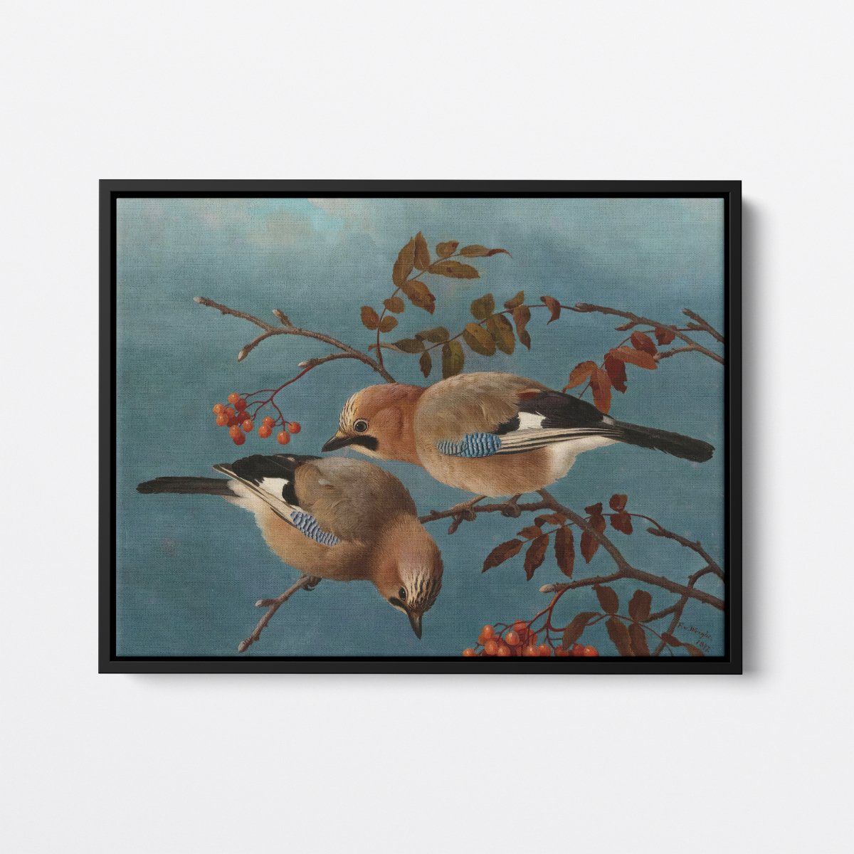 Jays | Ferdinand von Wright | Ave Legato Art Prints