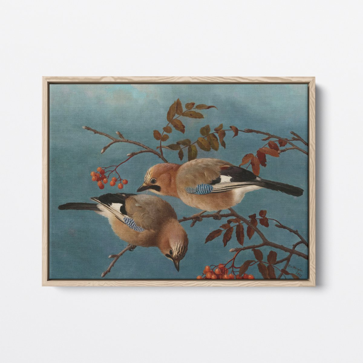 Jays | Ferdinand von Wright | Ave Legato Art Prints