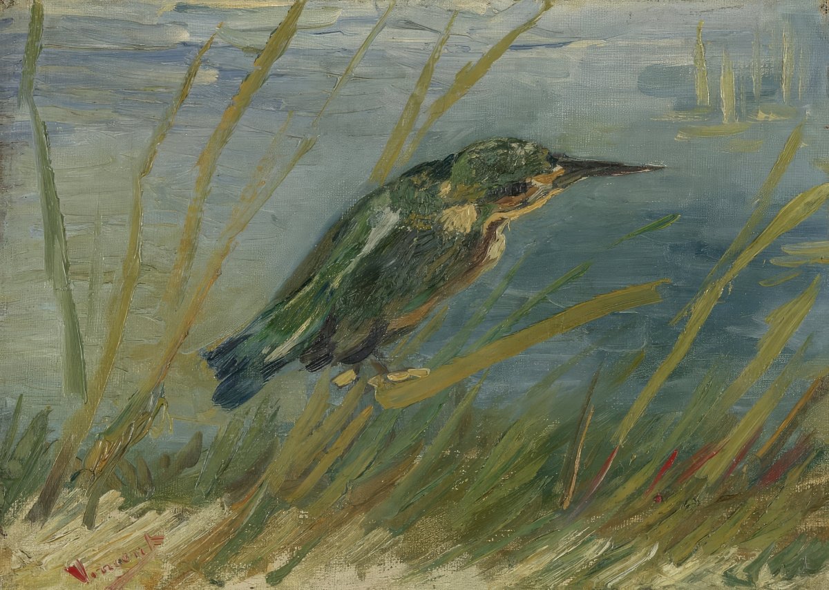 Kingfisher, Waterside | Vincent van Gogh | Ave Legato Art Prints