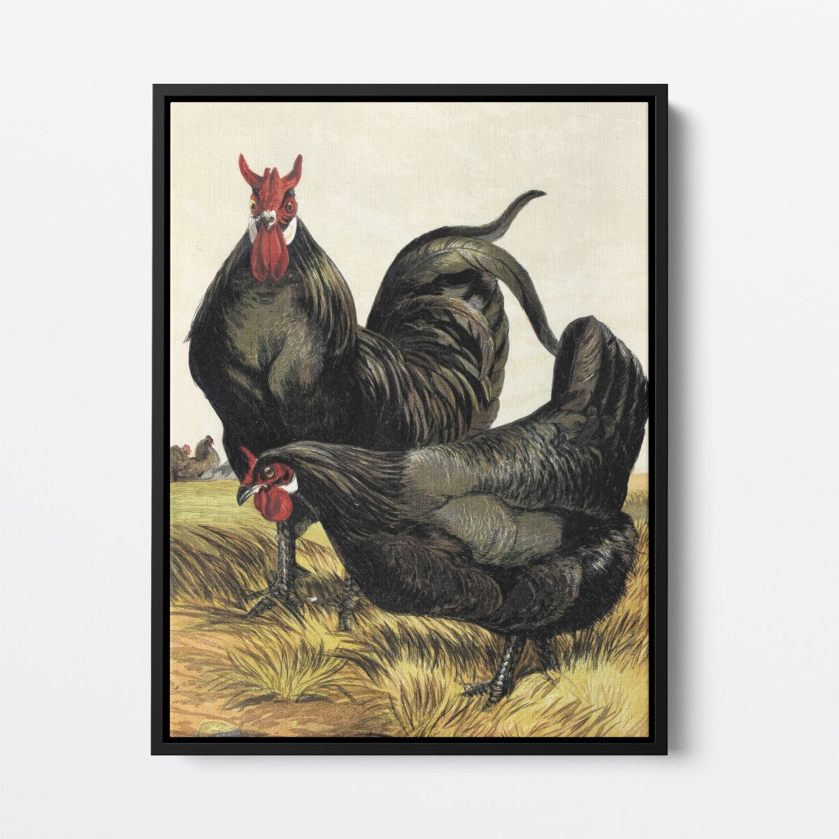 La Fleche Chicken | Harrison Weir | Ave Legato Art Prints