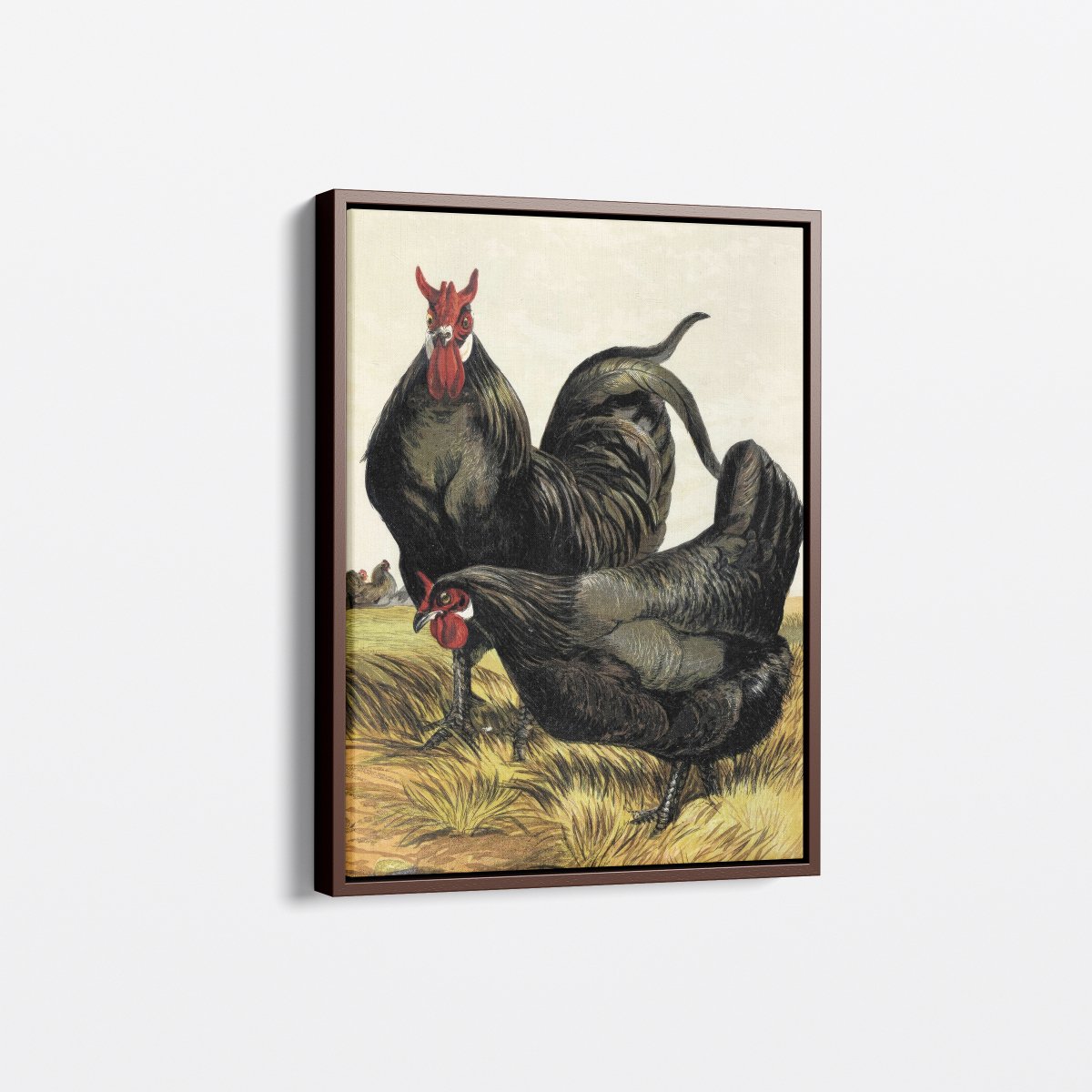 La Fleche Chicken | Harrison Weir | Ave Legato Art Prints