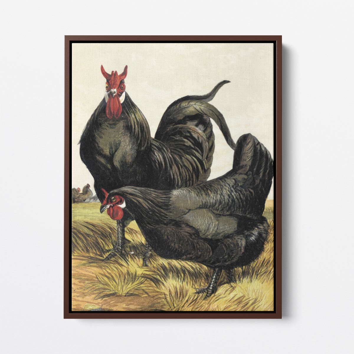 La Fleche Chicken | Harrison Weir | Ave Legato Art Prints