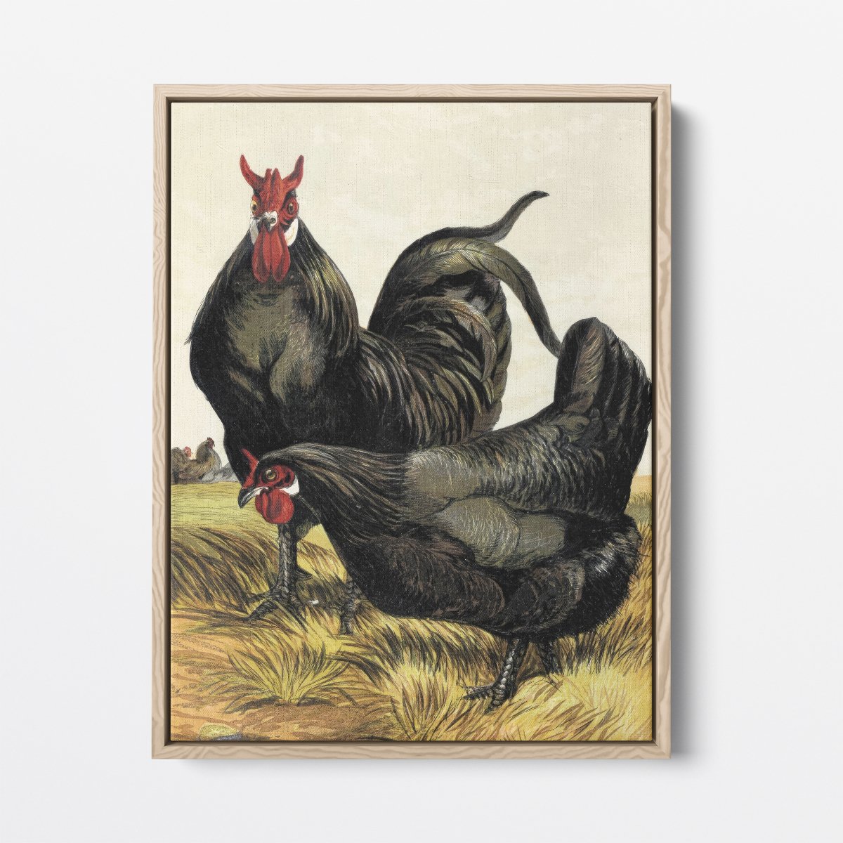 La Fleche Chicken | Harrison Weir | Ave Legato Art Prints