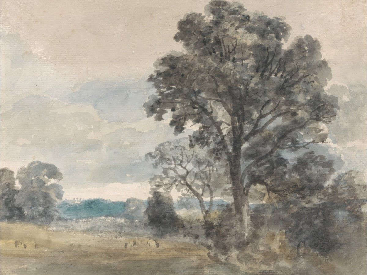 Landscape at East Bergholt | John Constable | Ave Legato Art Prints