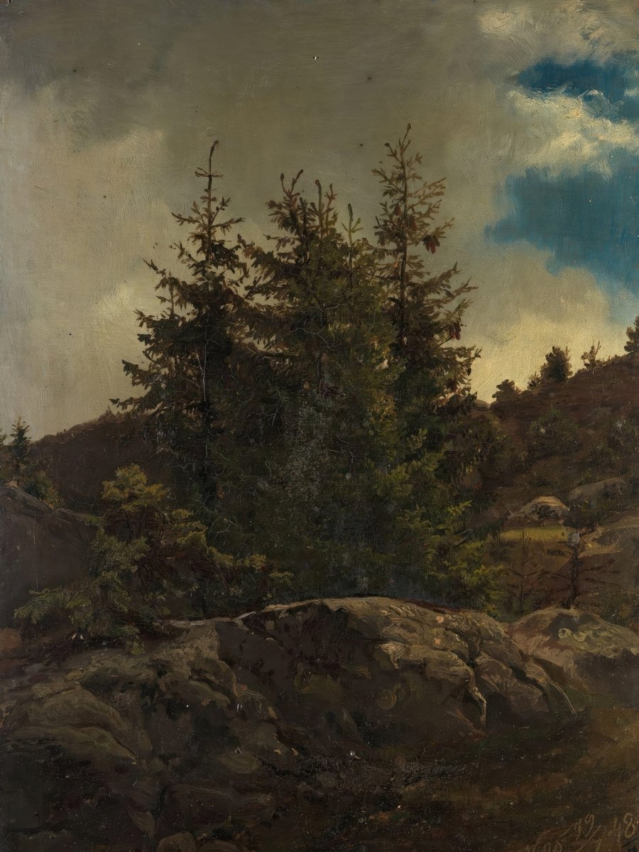 Landscape in Hallingdal | Adolph Tidemand | Ave Legato Art Prints