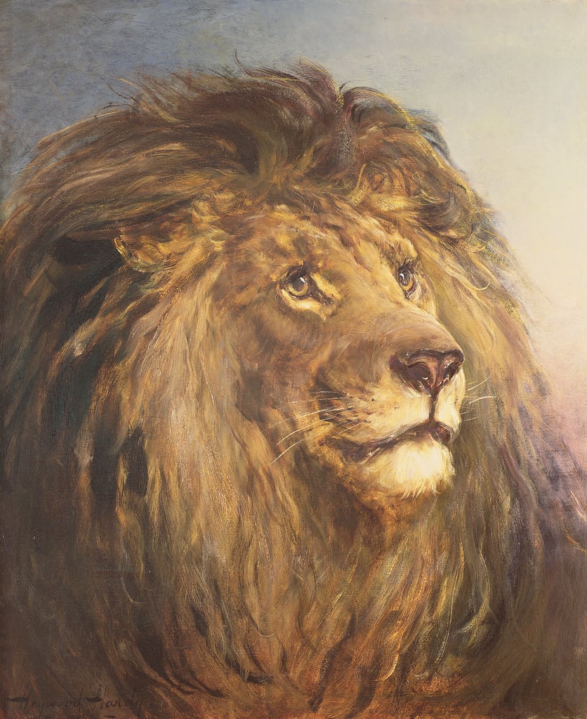 Lionsmane | Heywood Hardy | Ave Legato Art Prints