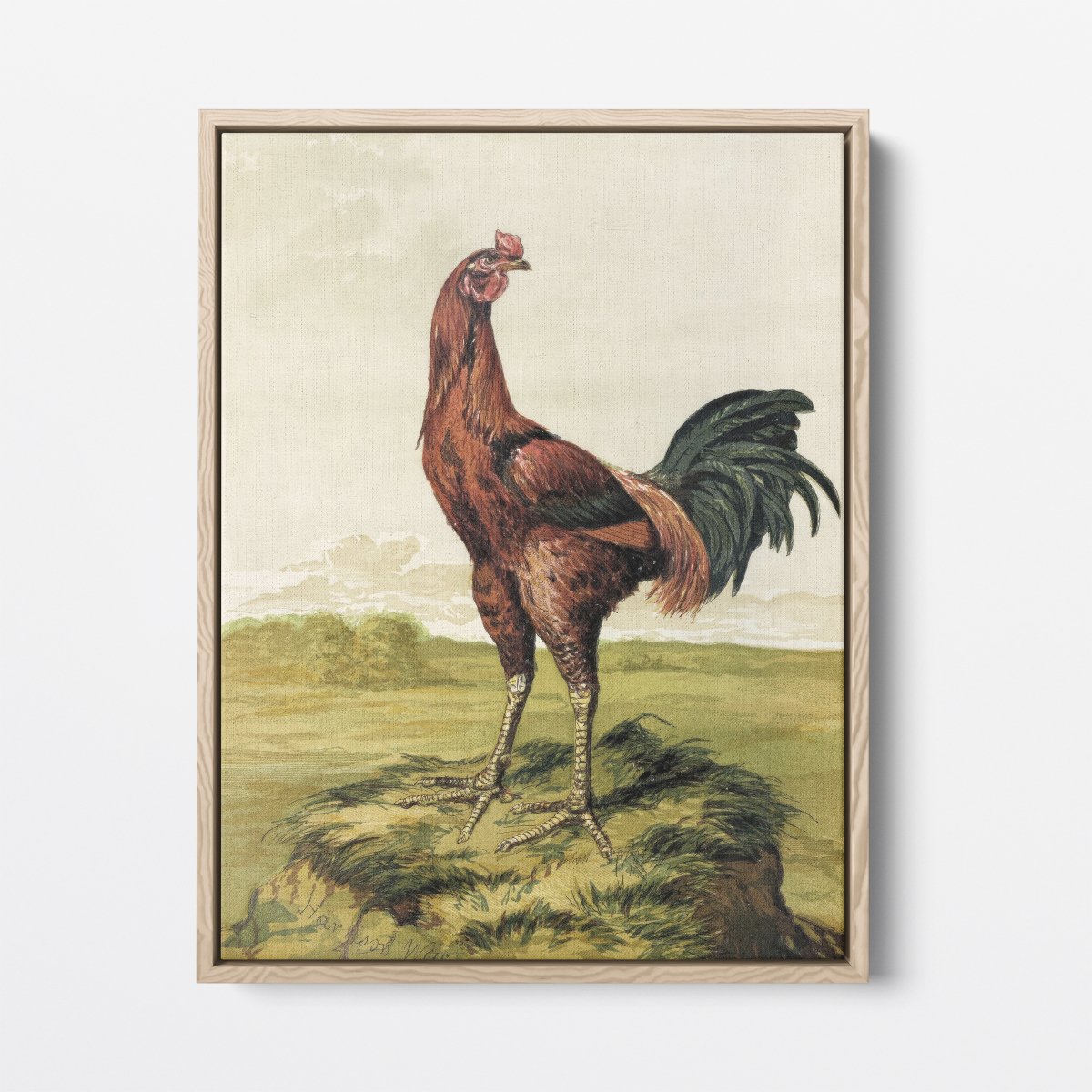 Malay Chicken | Harrison Weir | Ave Legato Art Prints