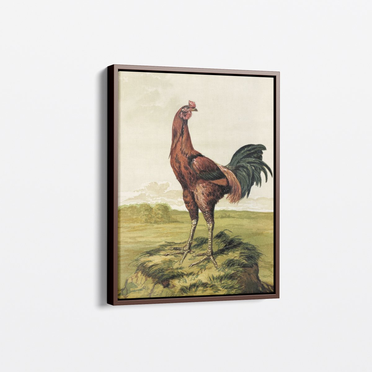 Malay Chicken | Harrison Weir | Ave Legato Art Prints