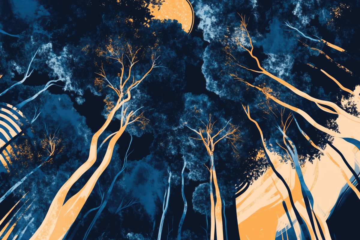 Moonlit Canopy | Ave Legato | Ave Legato Art Prints