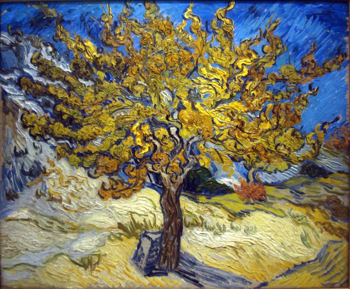 Mulbery Tree | Vincent van Gogh | Ave Legato Art Prints