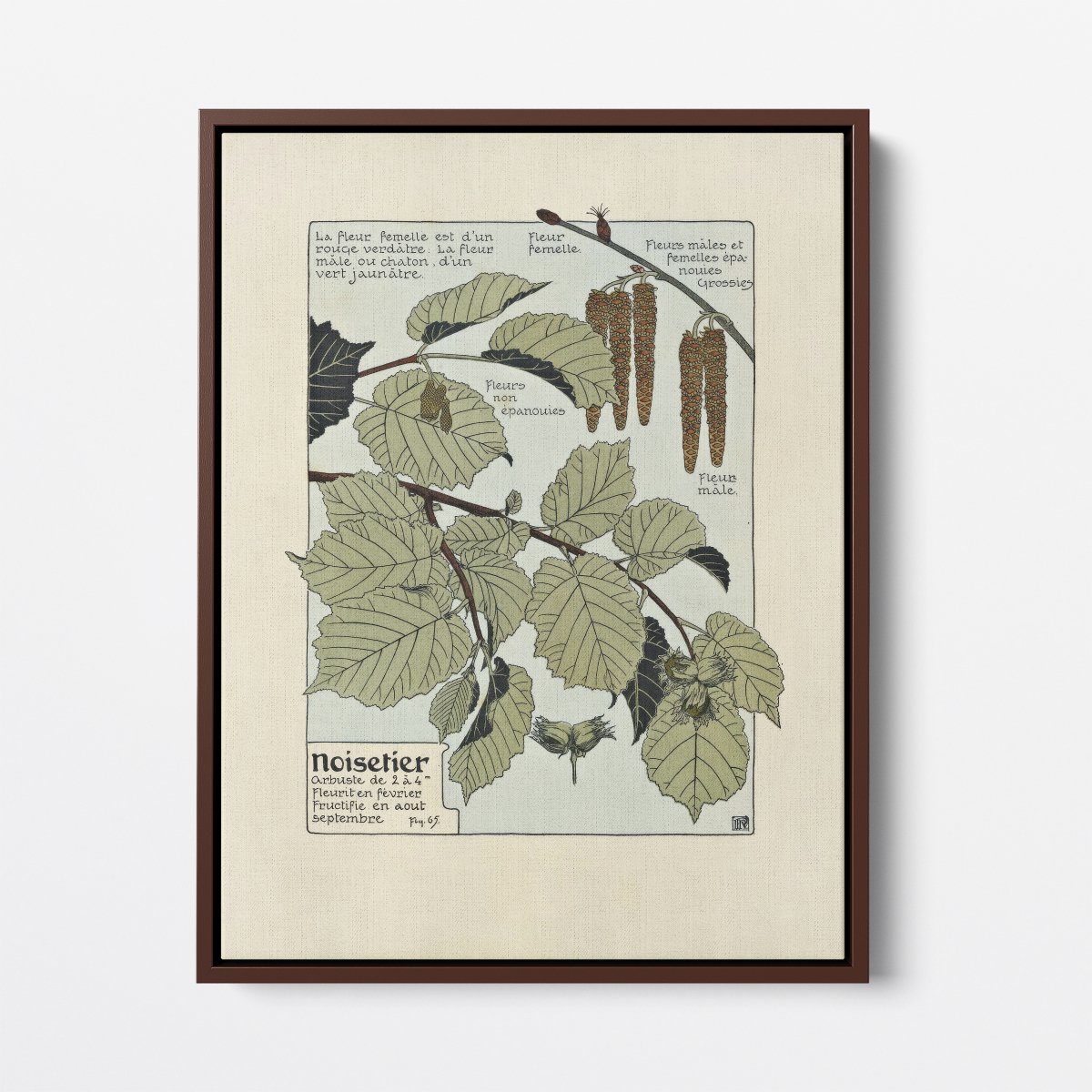 Noisetier (Hazel Tree) | Maurice Verneuil | Ave Legato Art Prints