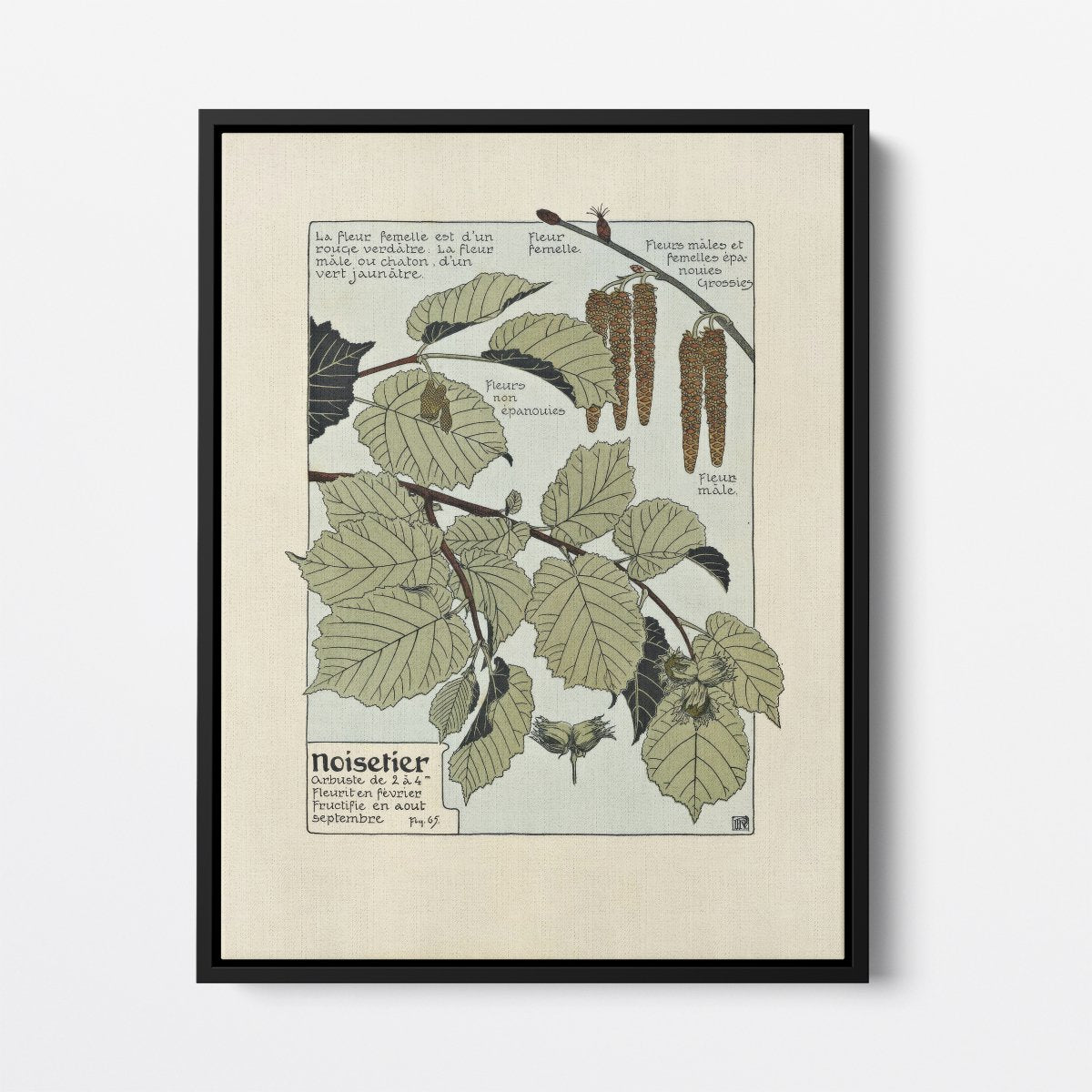 Noisetier (Hazel Tree) | Maurice Verneuil | Ave Legato Art Prints