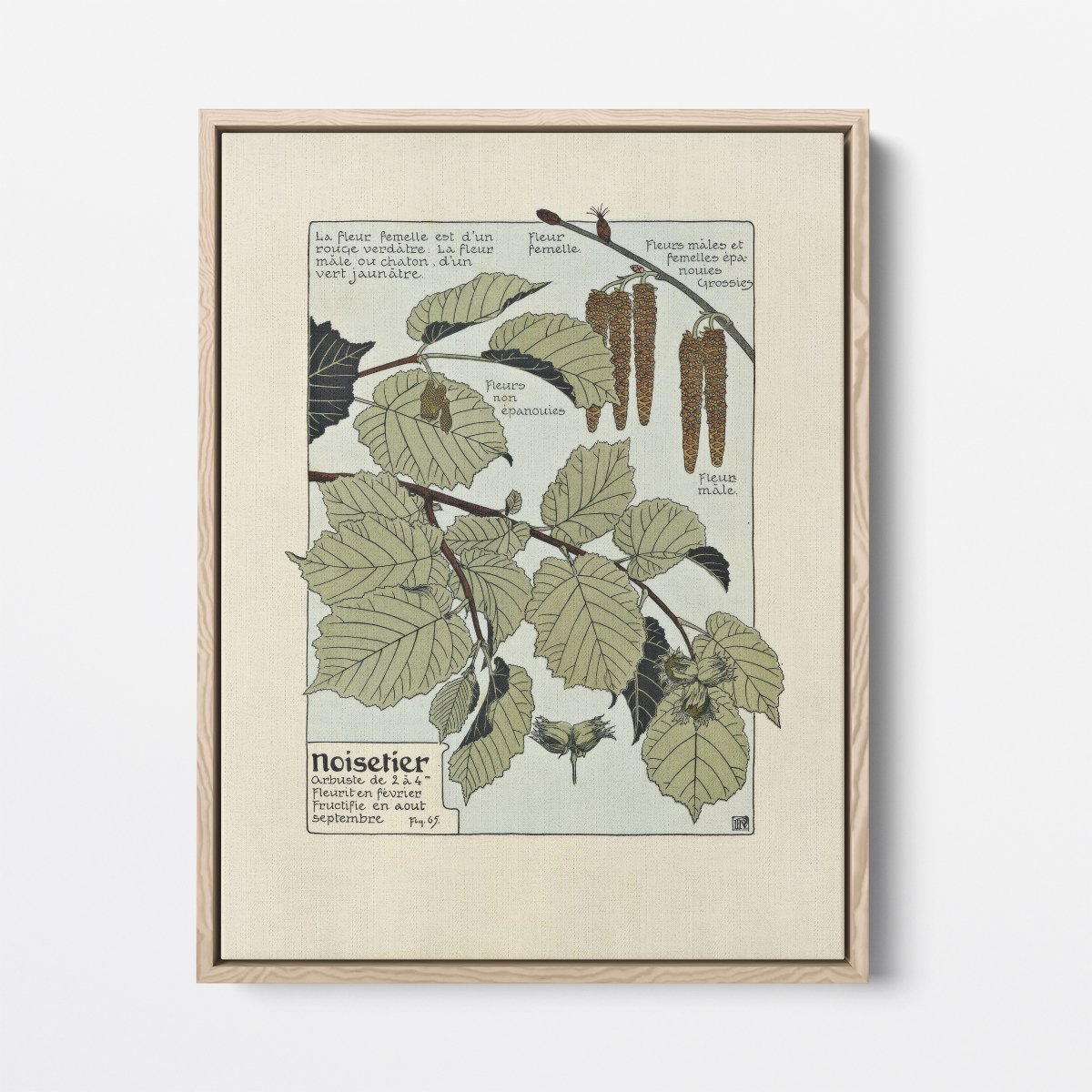 Noisetier (Hazel Tree) | Maurice Verneuil | Ave Legato Art Prints