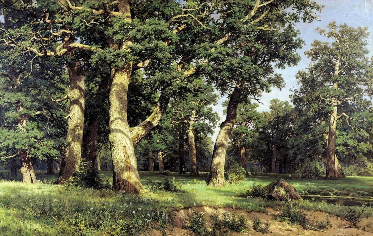 Oak Grove | Ivan Shishkin | Ave Legato Art Prints