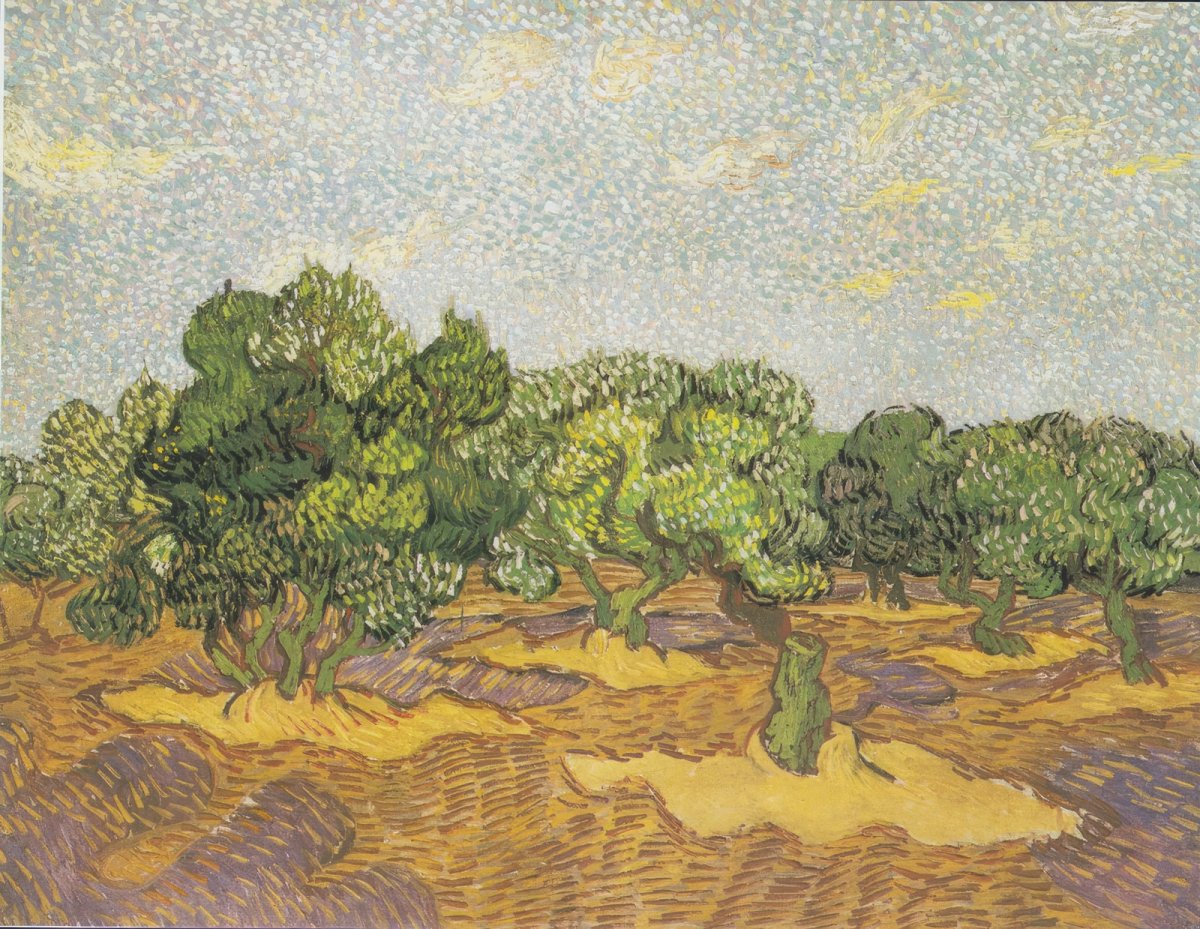 Olive Fields | Vincent van Gogh | Ave Legato Art Prints