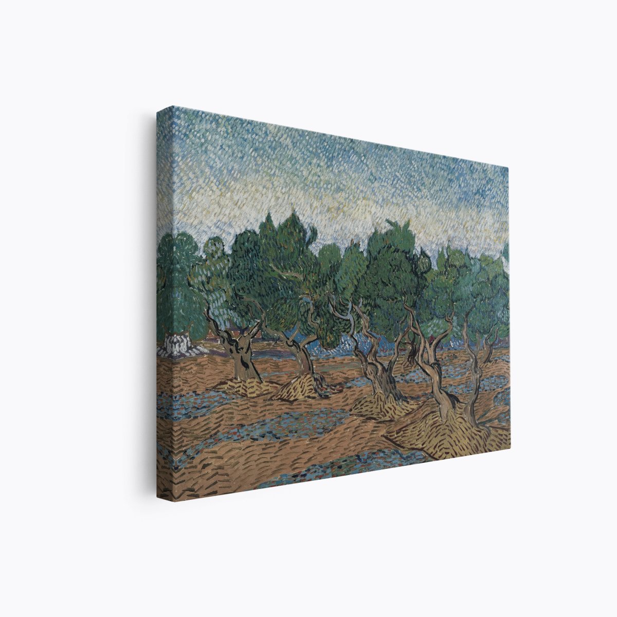 Olive Grove | Vincent van Gogh | Ave Legato Art Prints