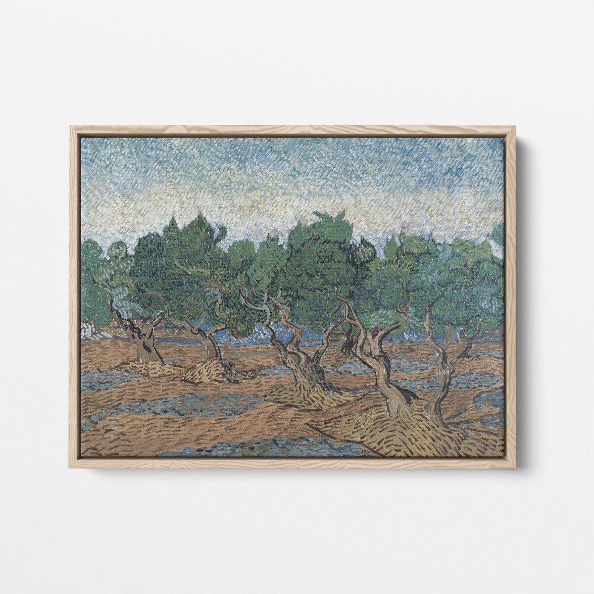 Olive Grove | Vincent van Gogh | Ave Legato Art Prints